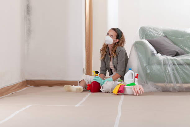 Reliable Commercial Mold Remediation contractor in Lemont, PA by WQB Mold Removal